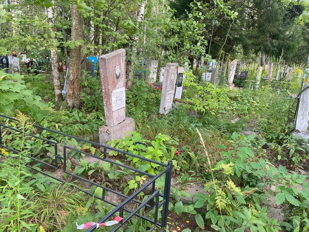 Габрукович Николай Антонович