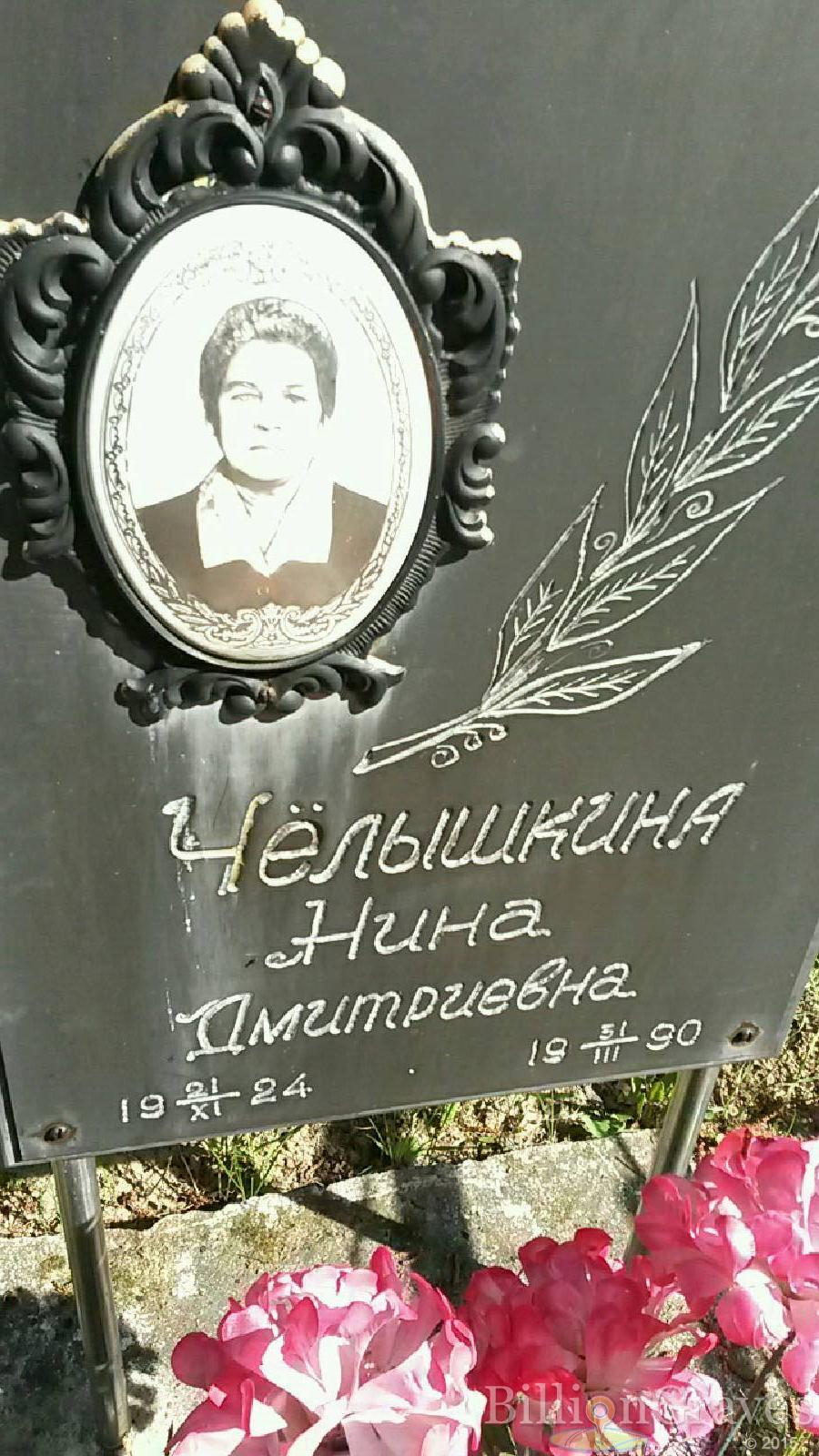 чёлышкина нина дмитриевна