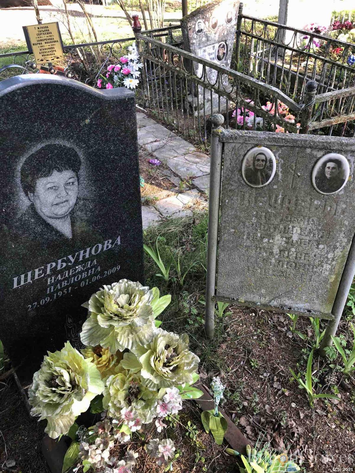 Щербунова Надежда Павловна