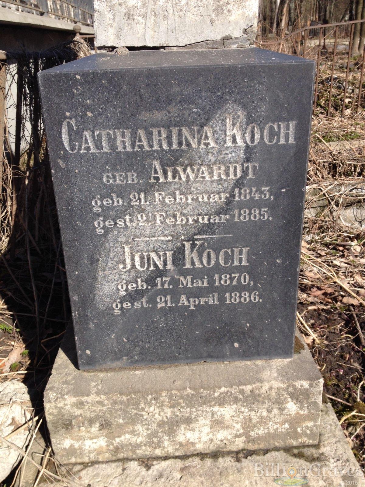 Koch Catharina