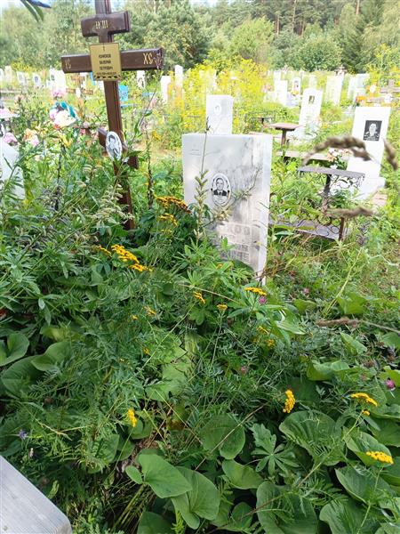 Конюхов Валерий Петрович