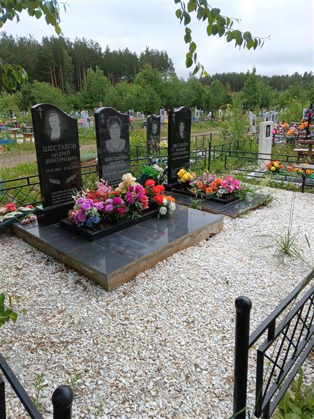 Шестаков Андрей Дмитриевич