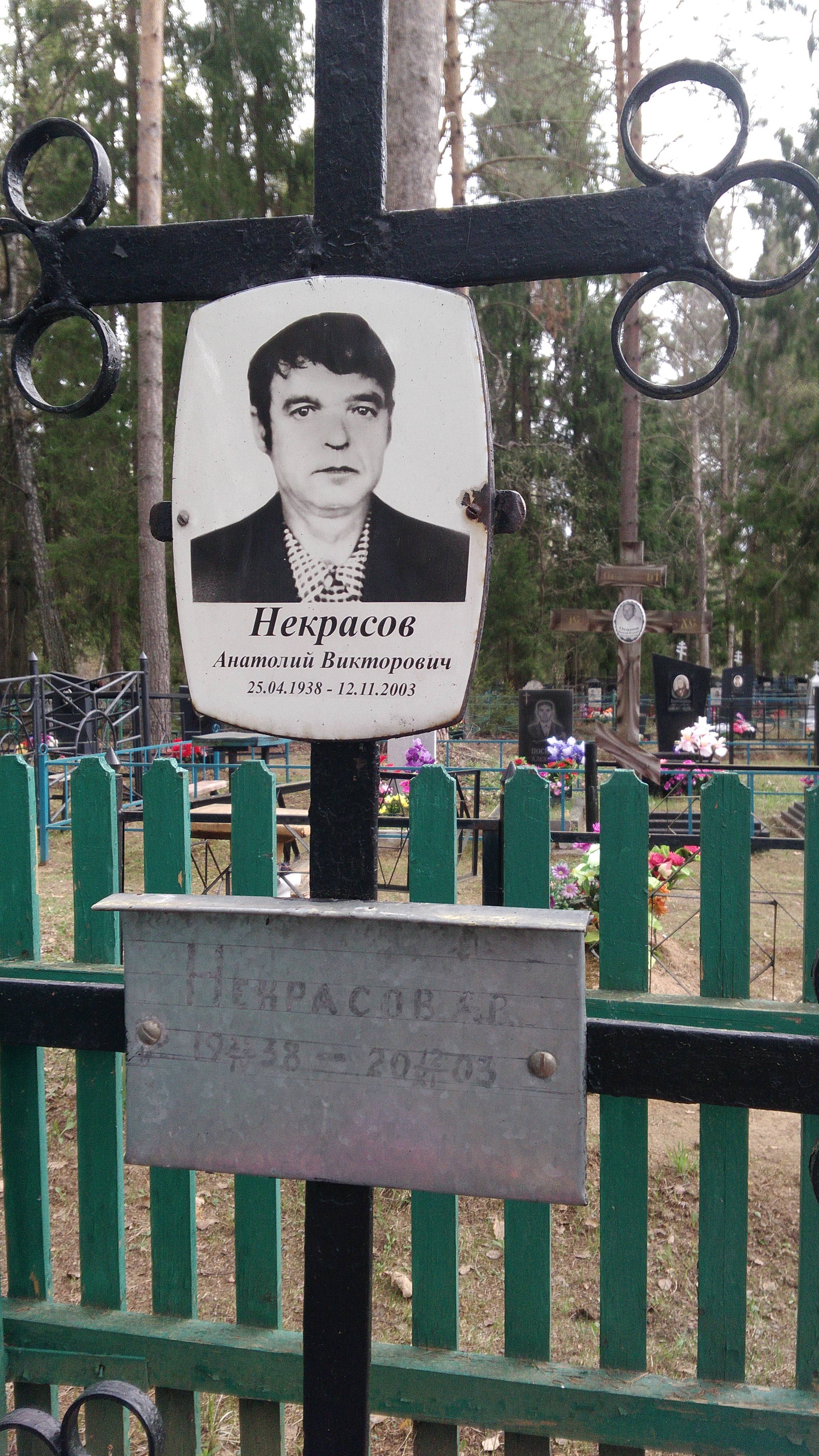 Некрасов Анатолий Викторович