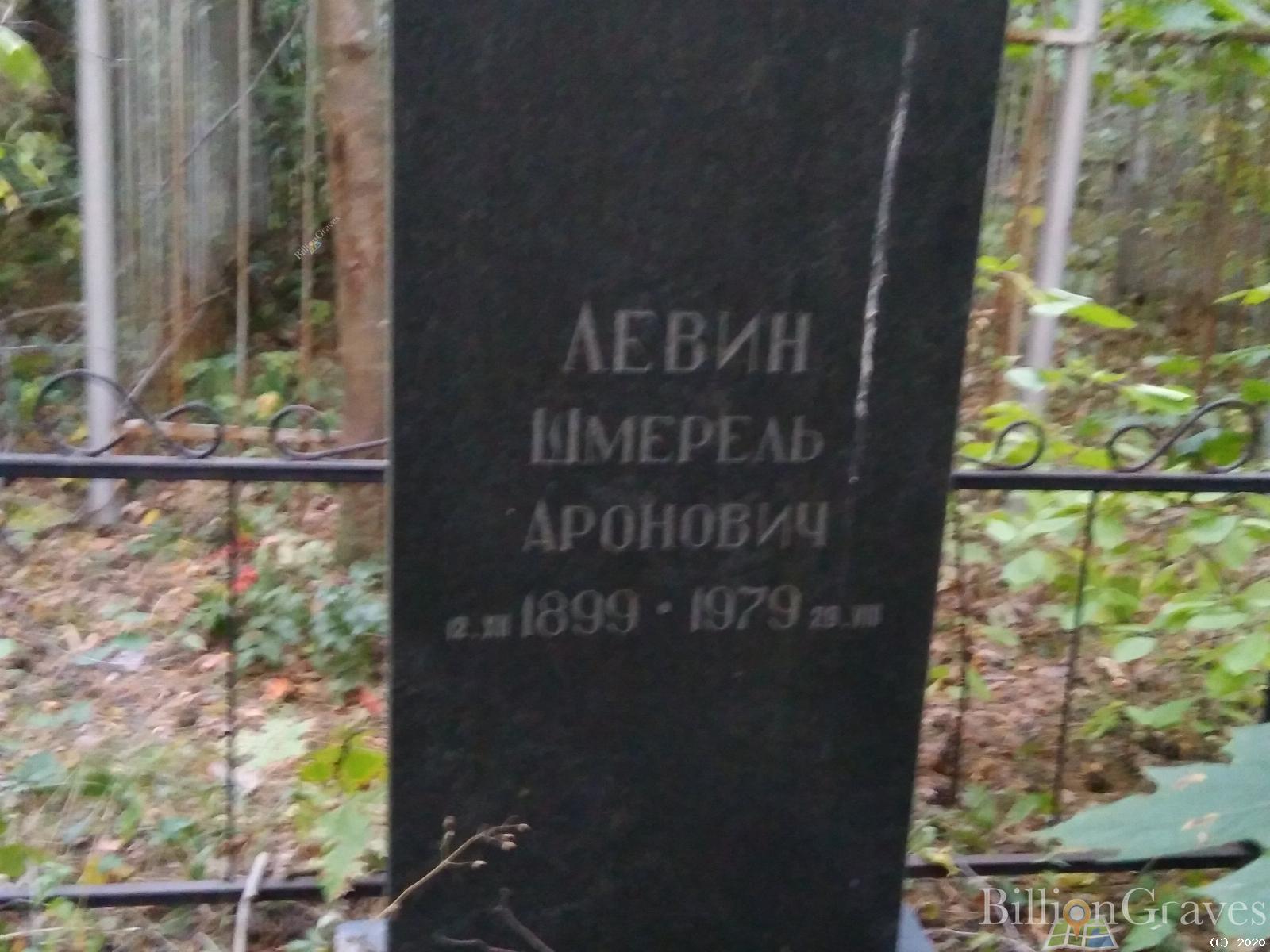 Левин Шмерель Аронович