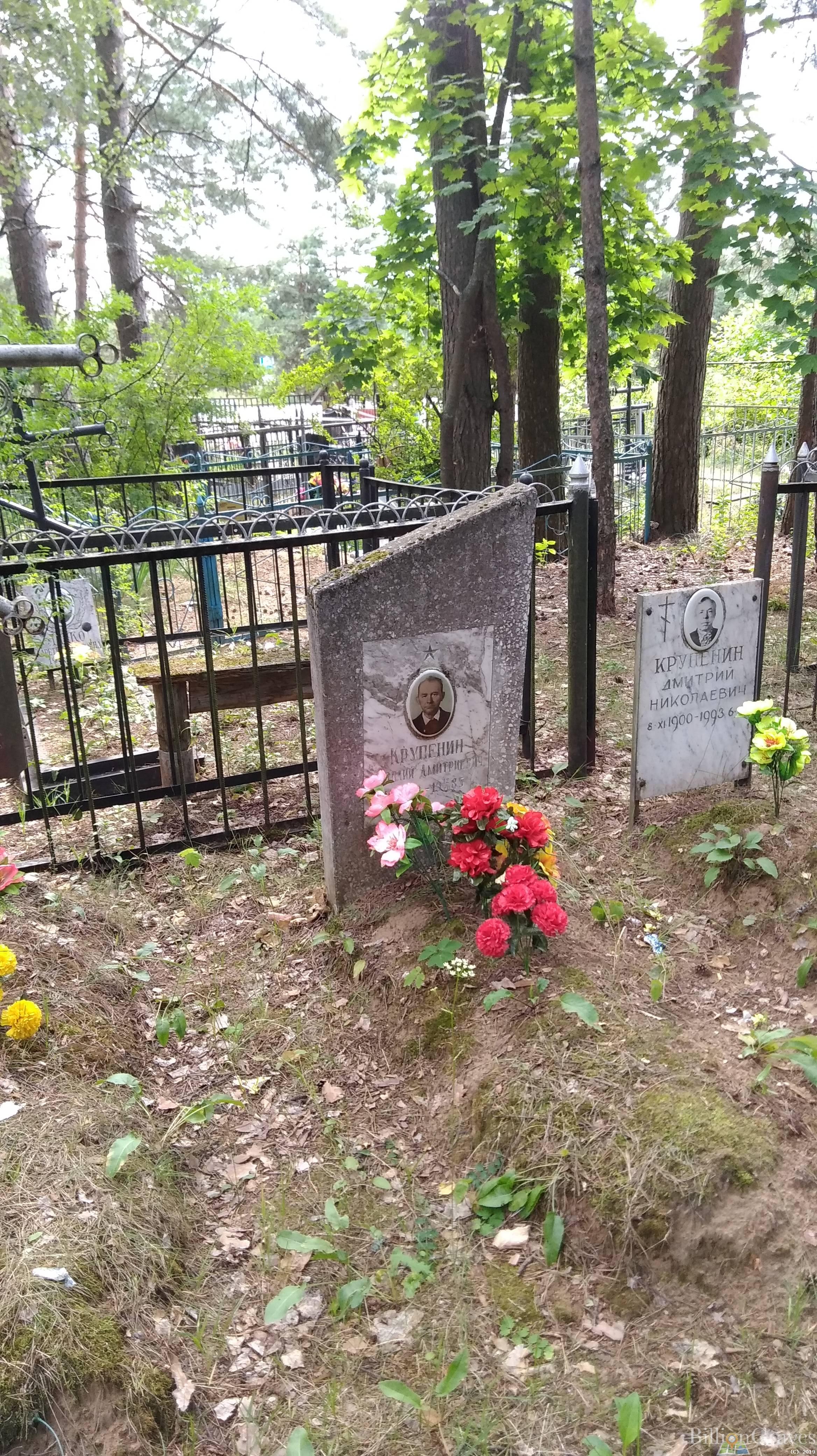 Крупенин Дмитрий Николаевич