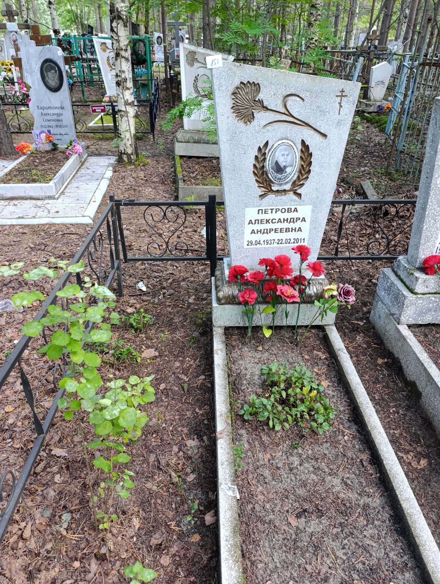 Петрова Александра Андреевна