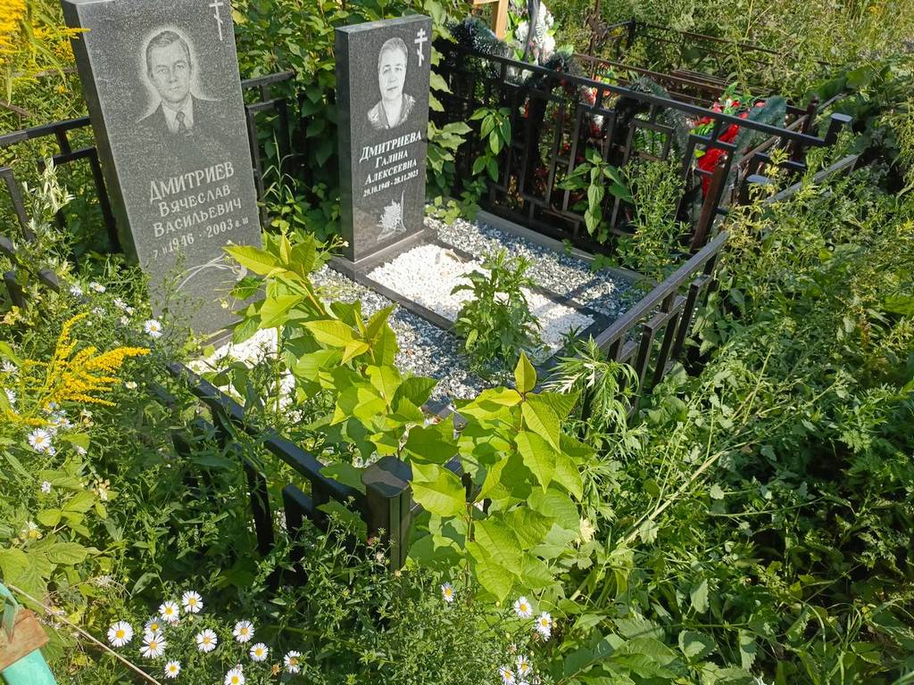 Дмитриев Вячеслав Васильевич