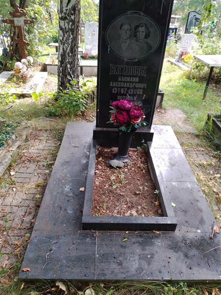 Ваганов Василий Александрович