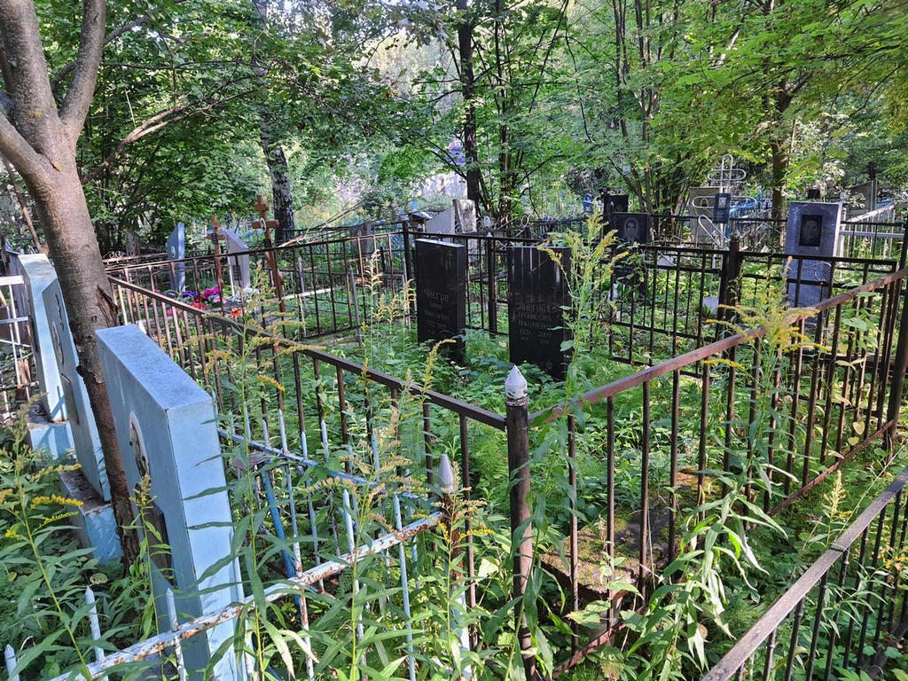 Чнегова Бронислава Николаевна