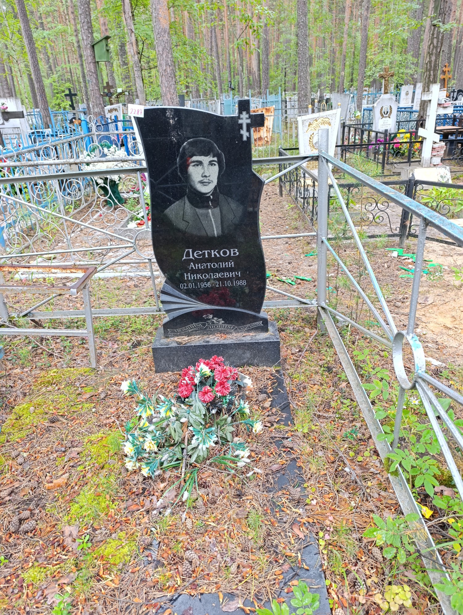 Детков Анатолий Николаевич