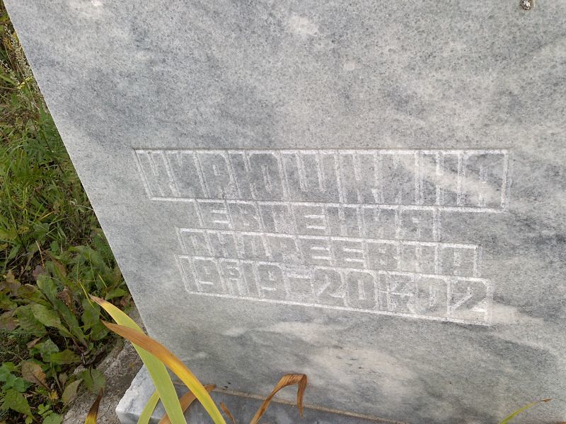 Кирюшкина Евгения Андреевна