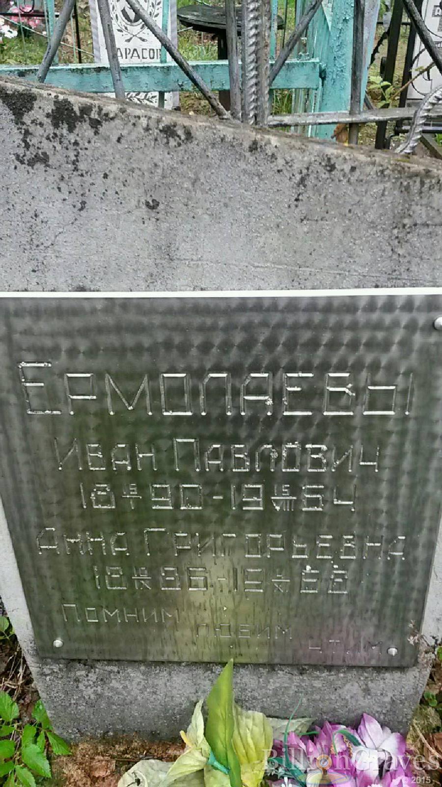 ермолаева анна григорьевна