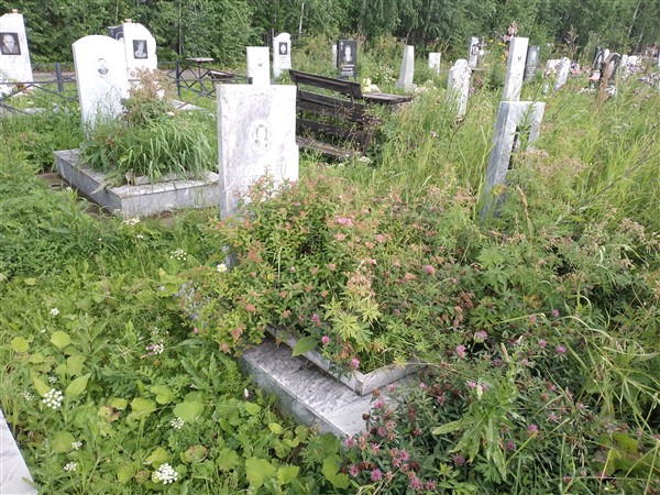 Пермякова Елизавета Николаевна