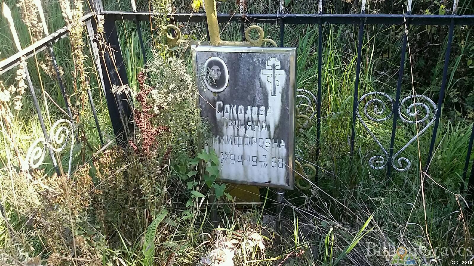 Соколова Татьяна Никифоровна