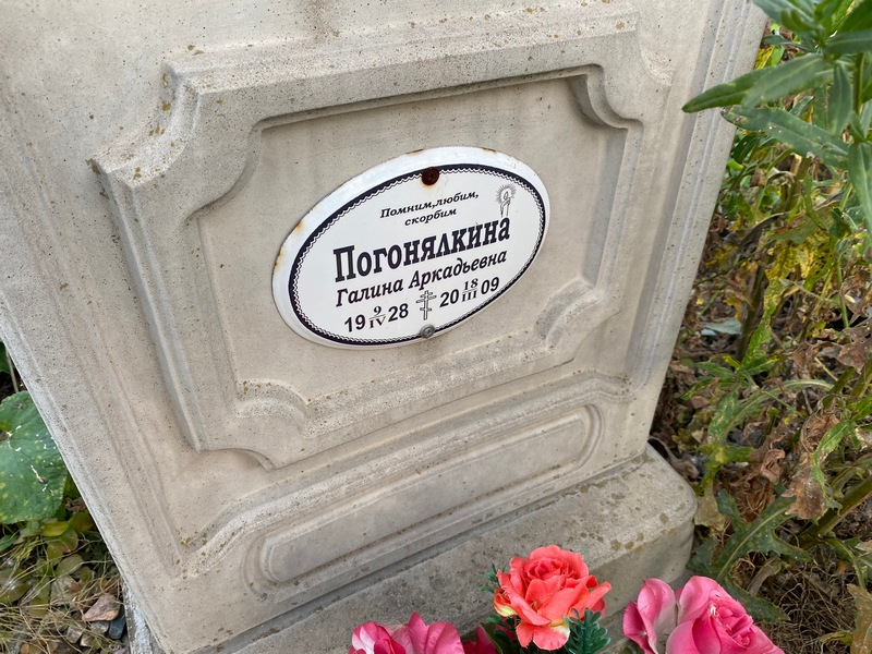 Погонялкина
