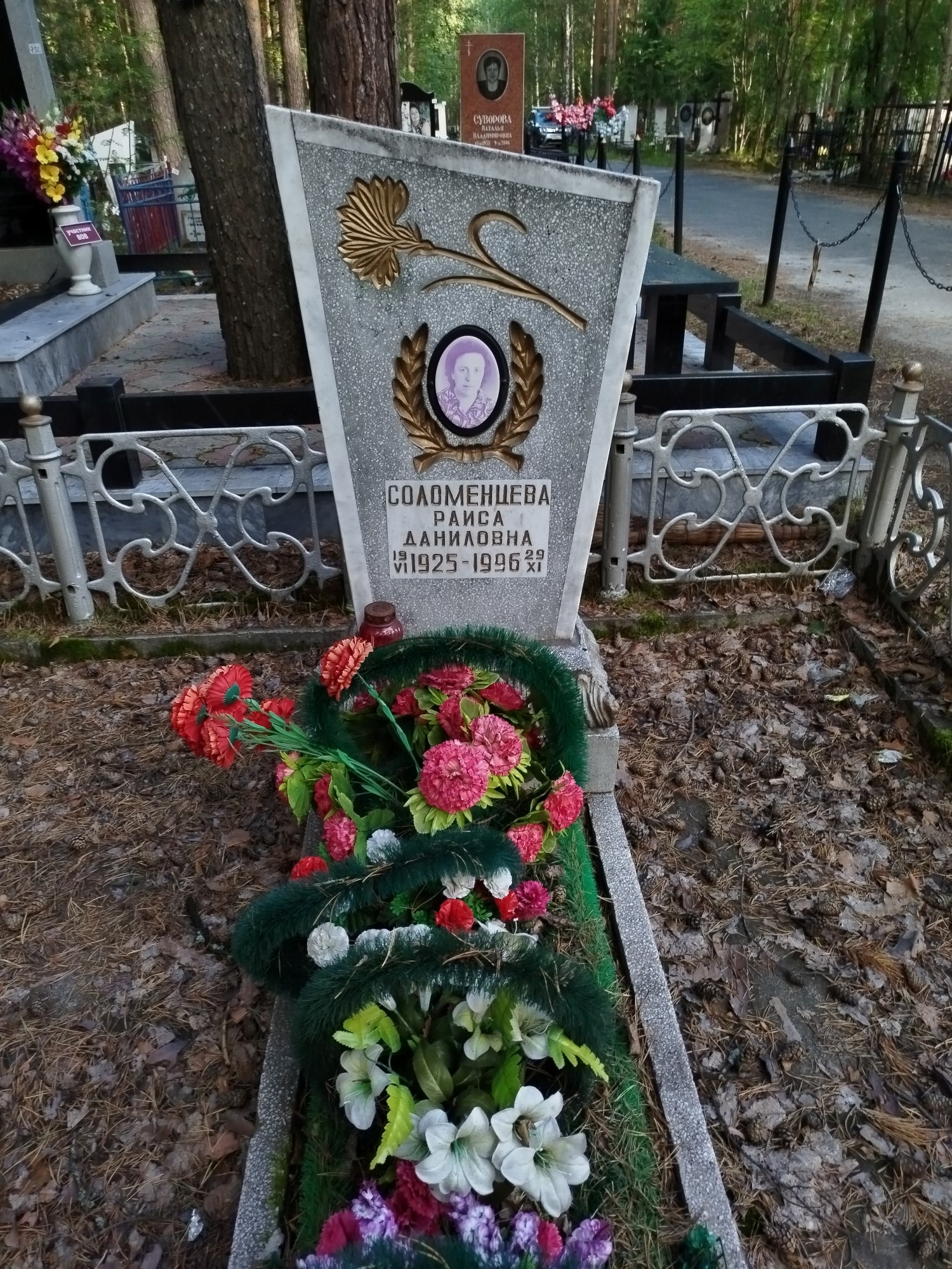 Соломенцева Раиса Даниловна