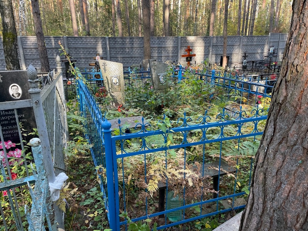 Кривдина Александра Федоровна