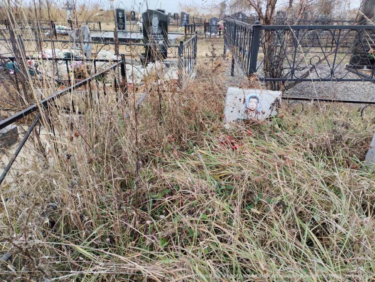 Полонский Станислав Михайлович
