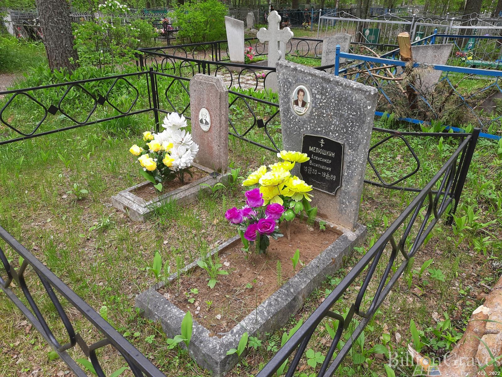 Мелюшкин Александр Васильевич