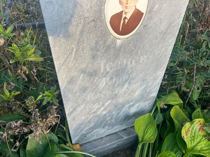Леднев