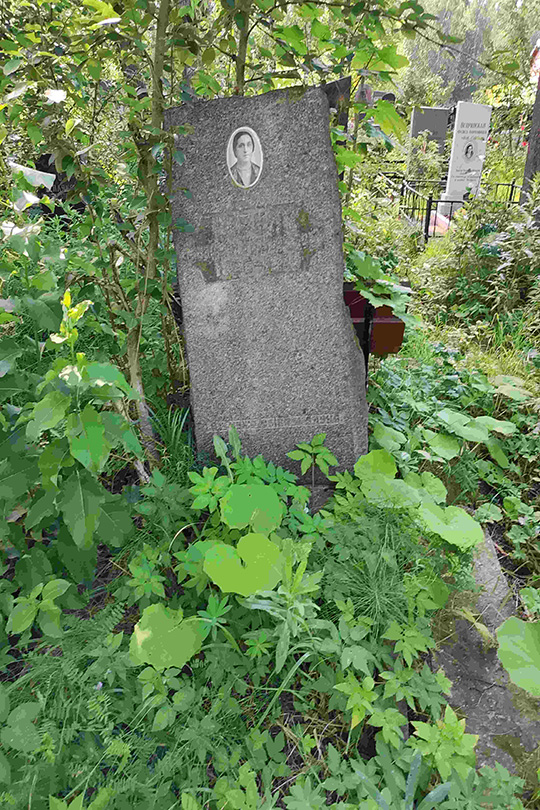Черняк
