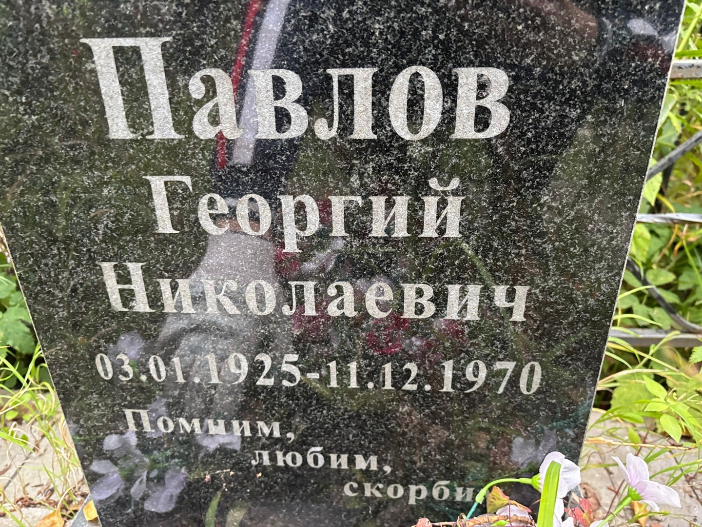Павлов