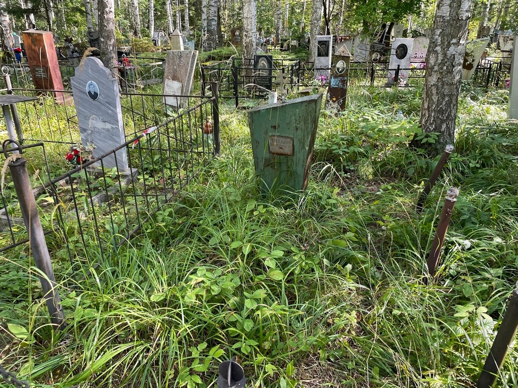 Черемушкин Евгений Николаевич