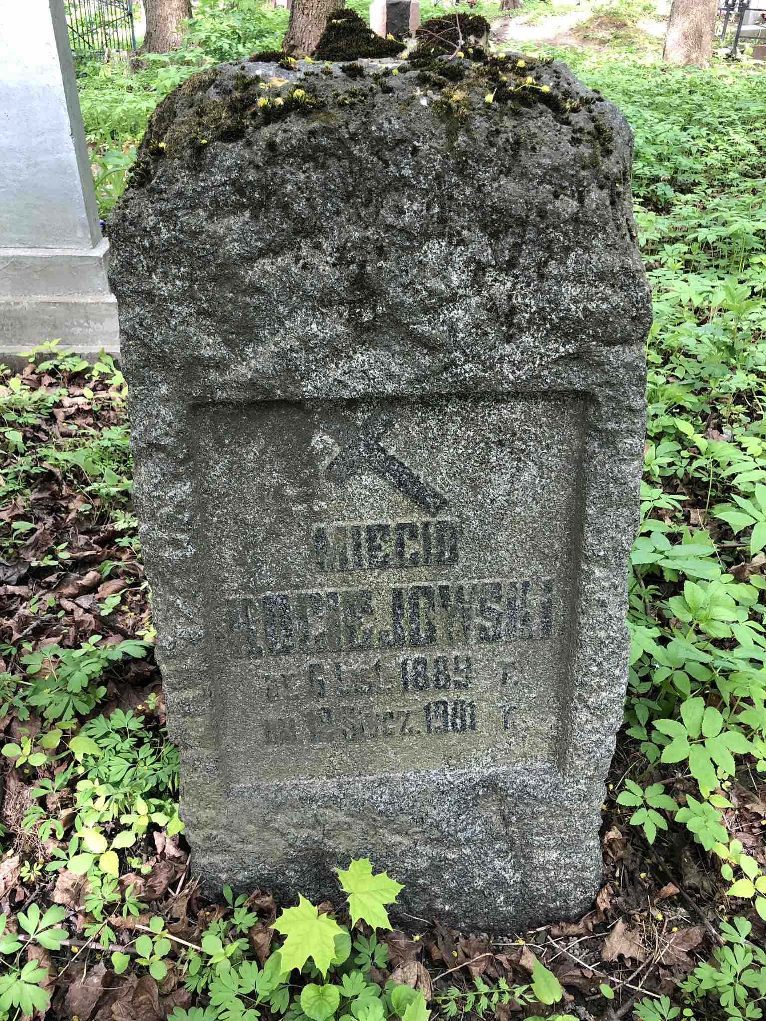 Kociejowski Miecio