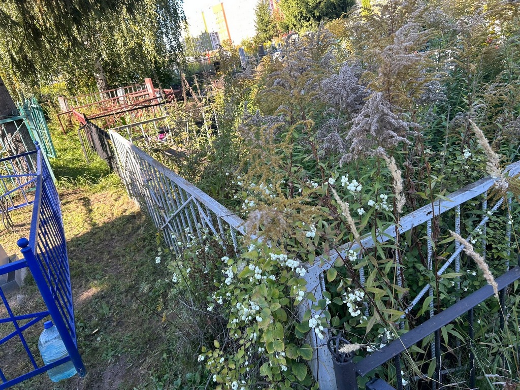 Куренкова Евдокия Николаевна