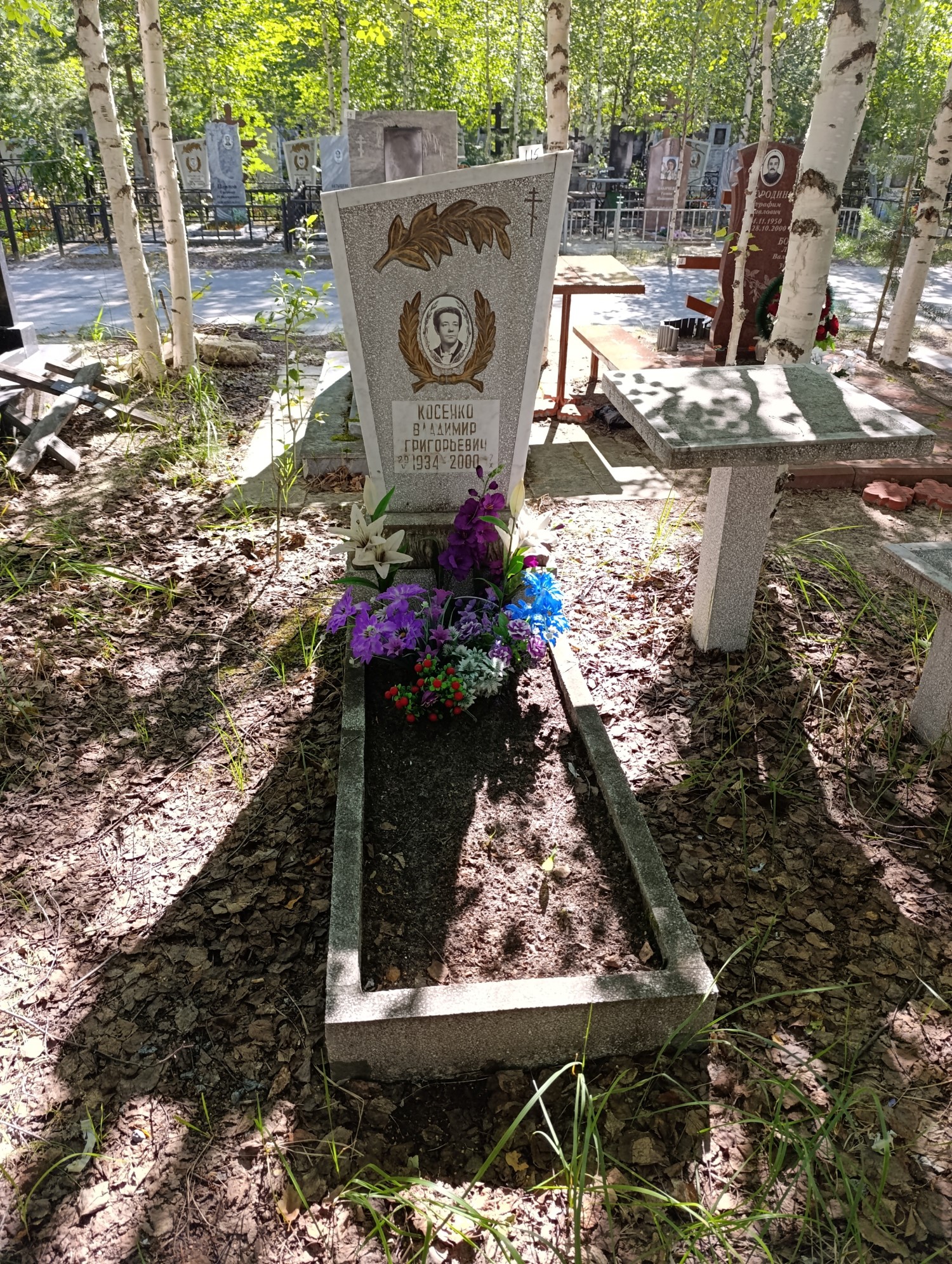 Косенко Владимир Григорьевич