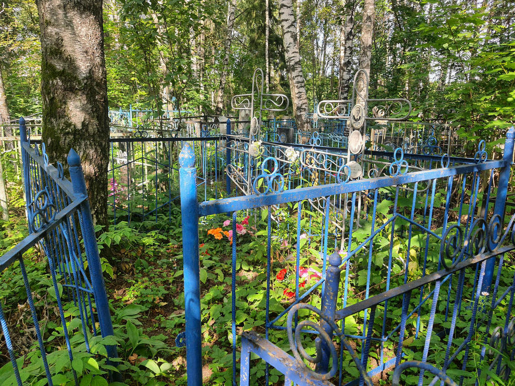 Баранова Анастасия Алексеевна