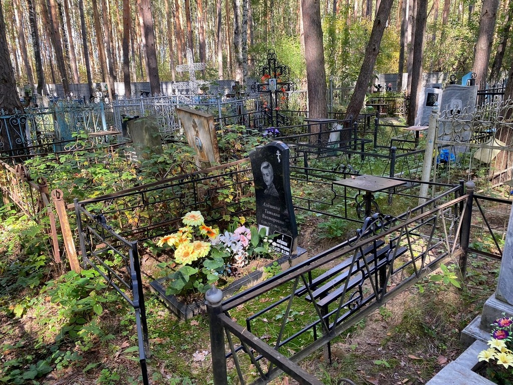 Алешина Татьяна Викторовна