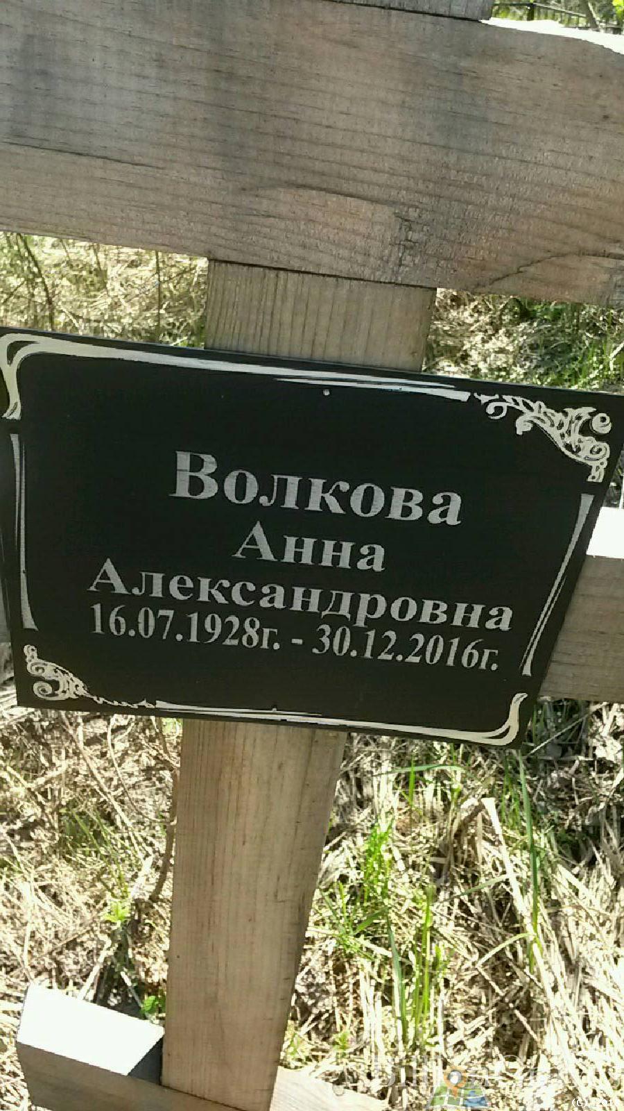 Волкова Анна Александровна