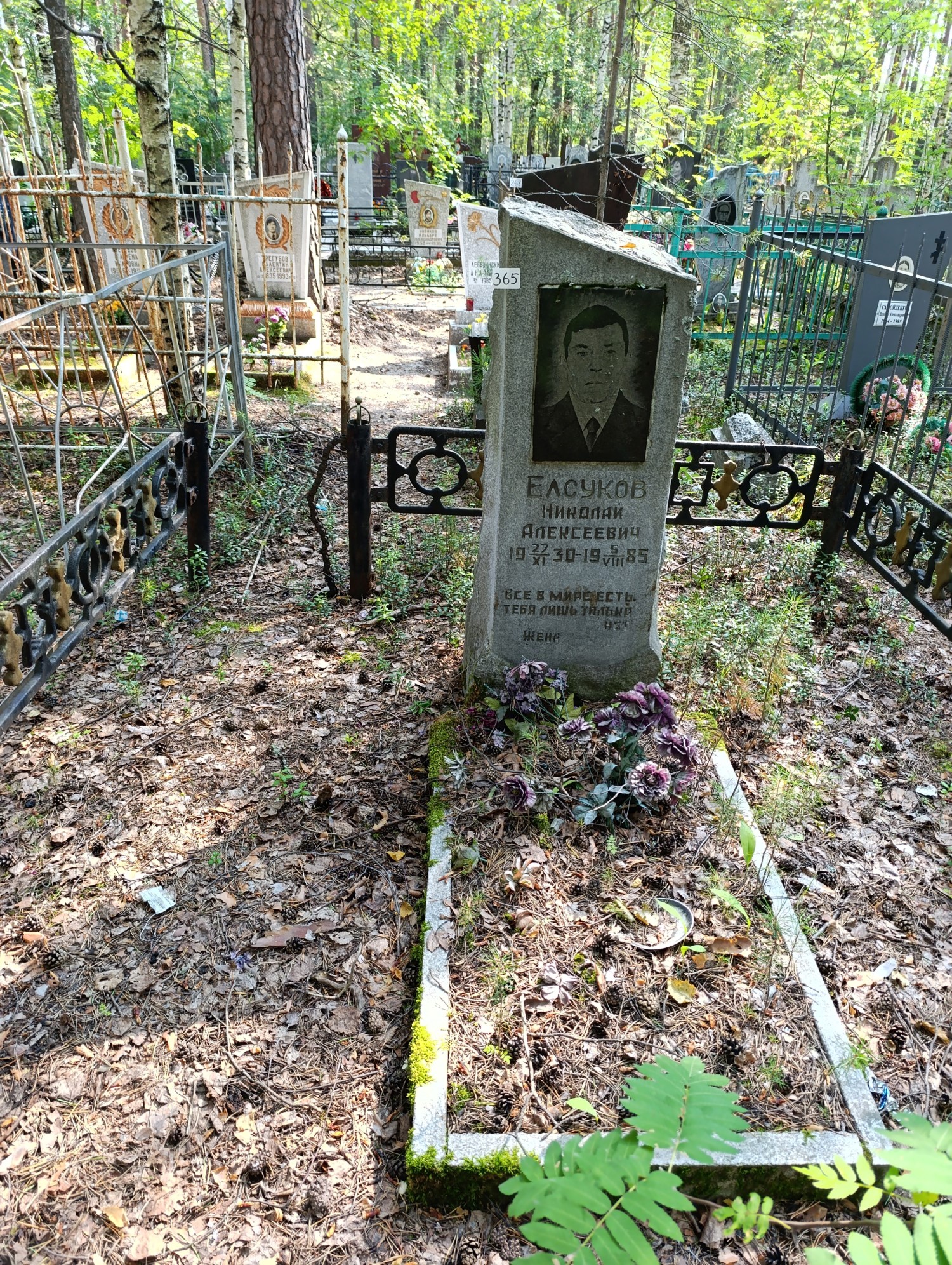 Елсуков Николай Алексеевич
