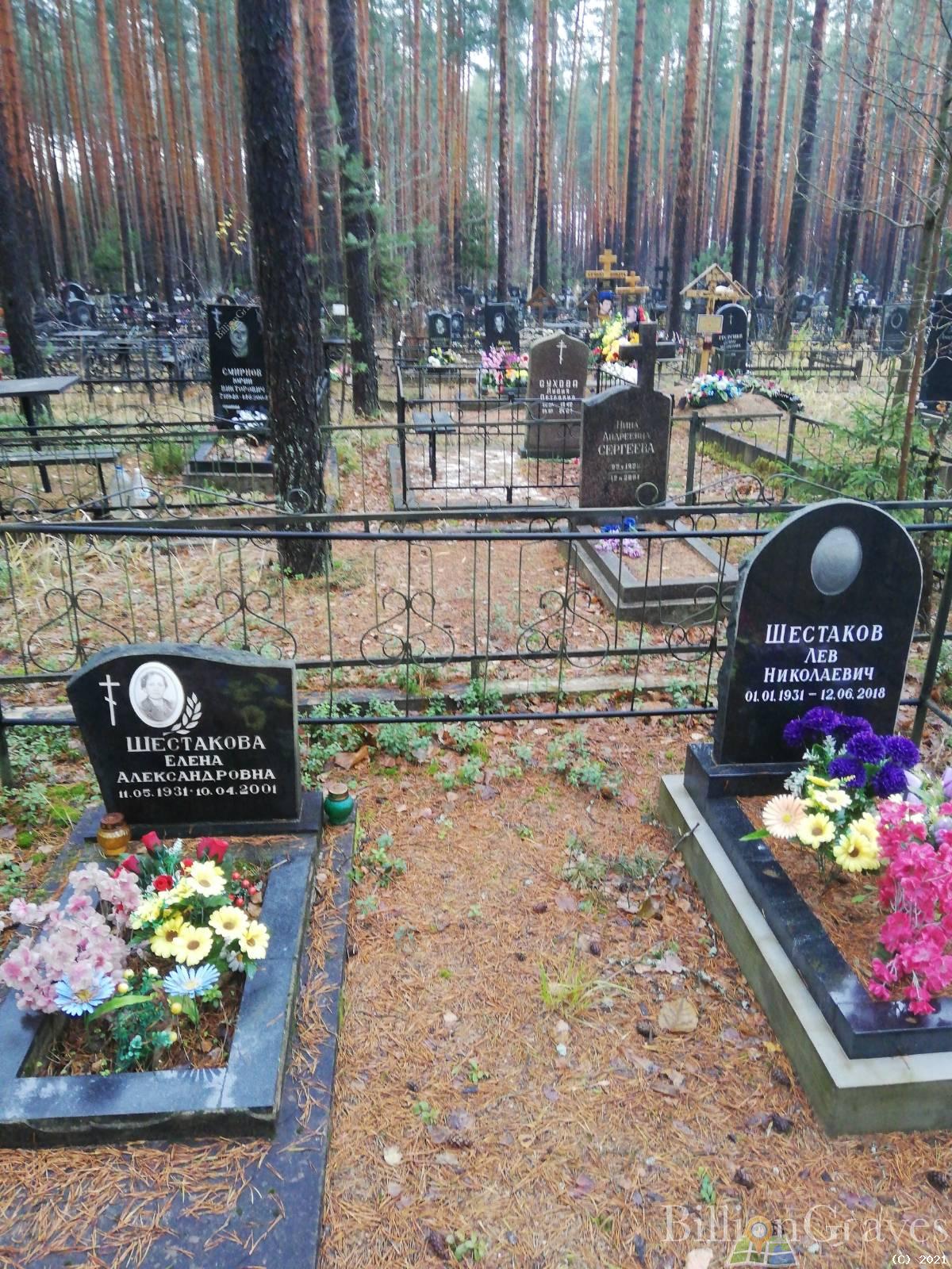 Шестакова Елена Александровна