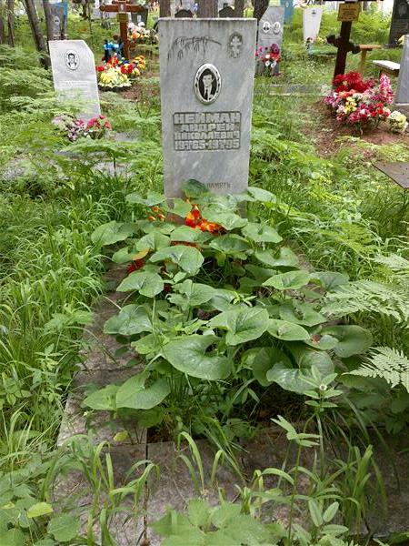Нейман Андрей Николаевич