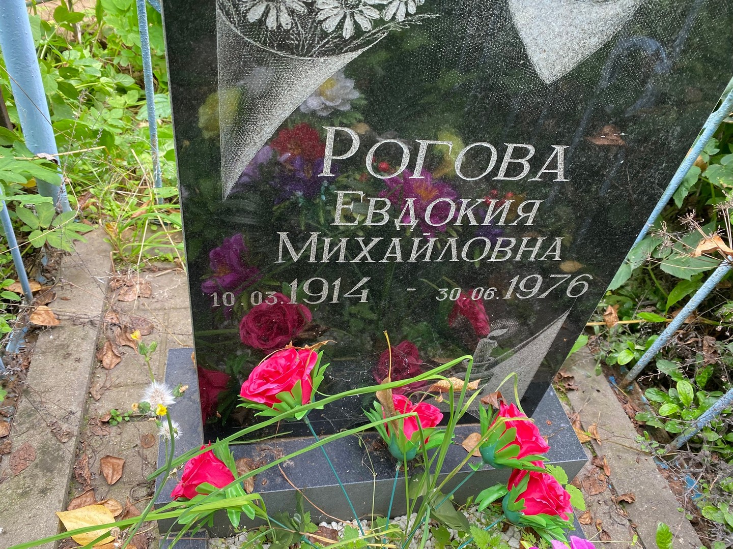 Рогова