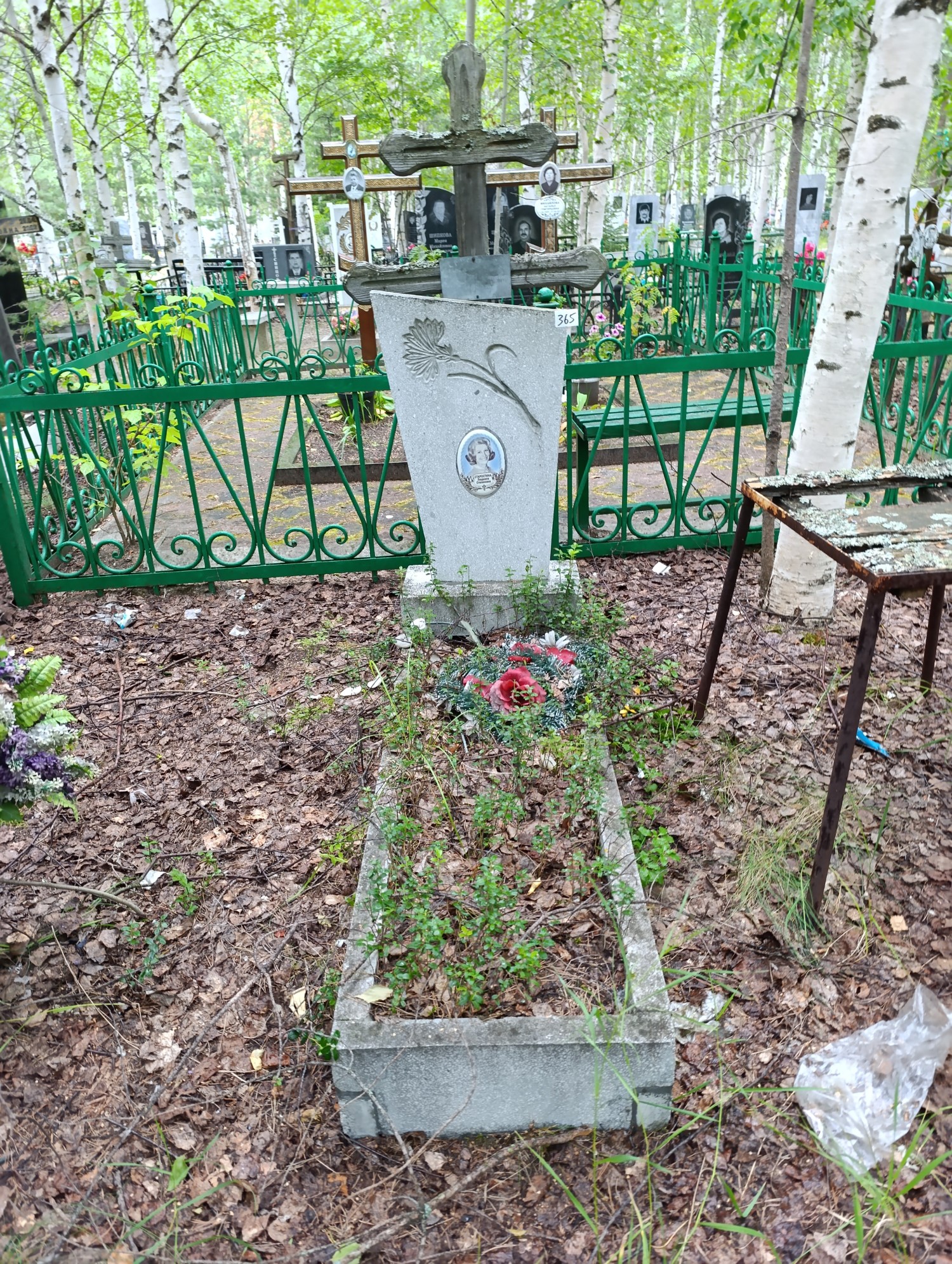Старостина Людмила Степановна