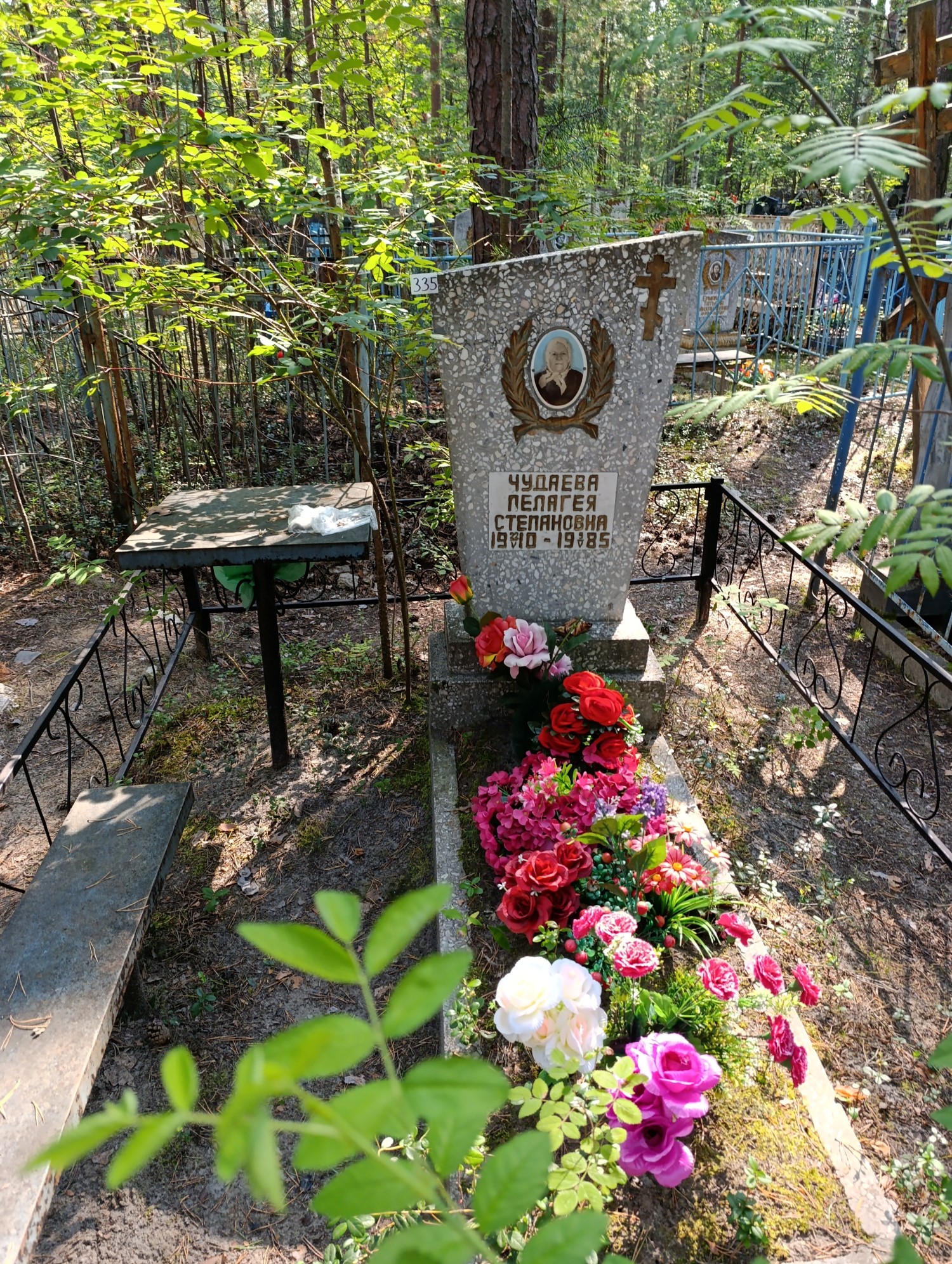 Чудаева Пелагея Степановна