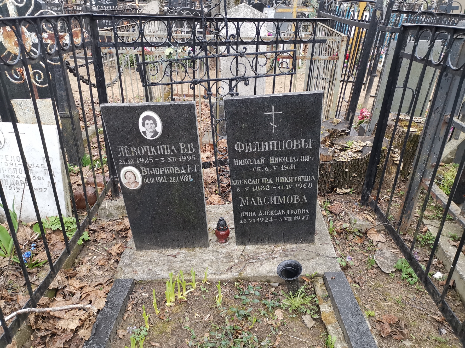 Вьюркова Е. Г.
