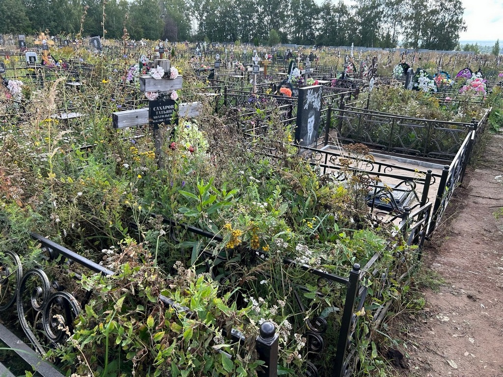 Сахарова Татьяна Анатольевна