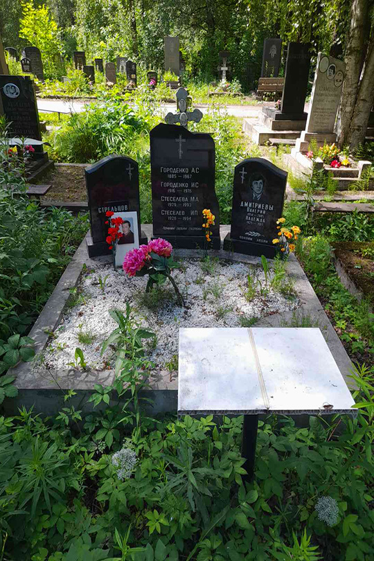 Дмитриев Валерий