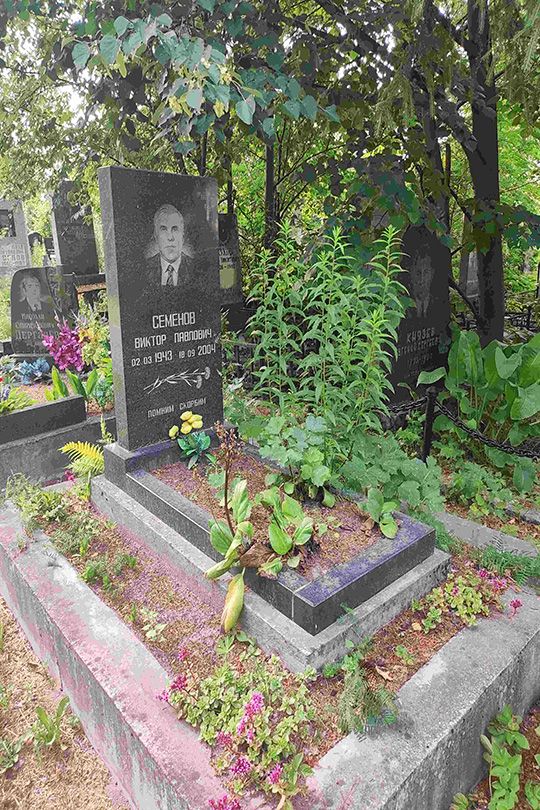 Семенов Виктор Павлович