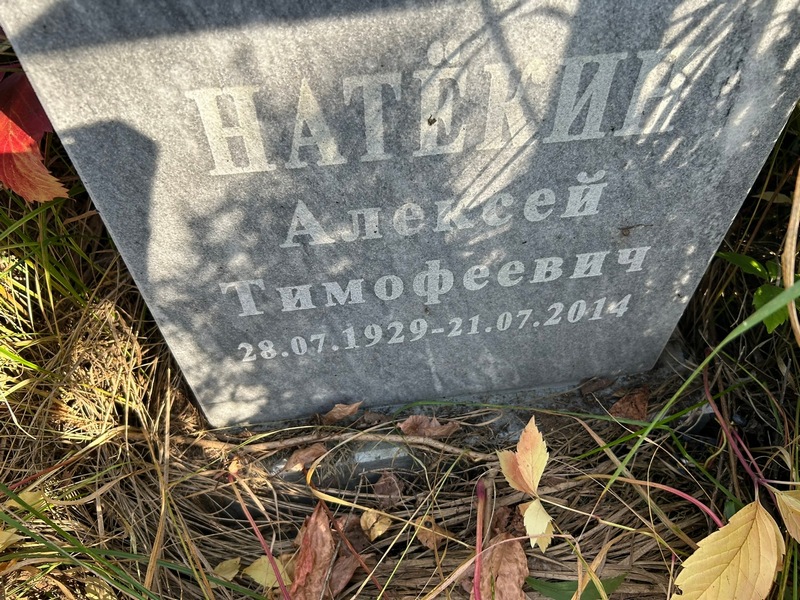 Натекин