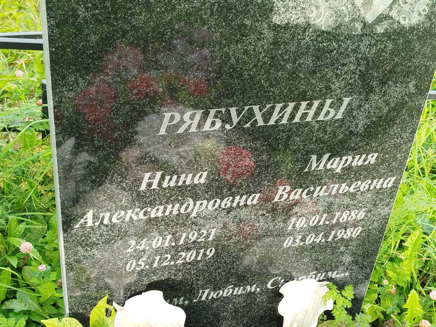 Рябухина