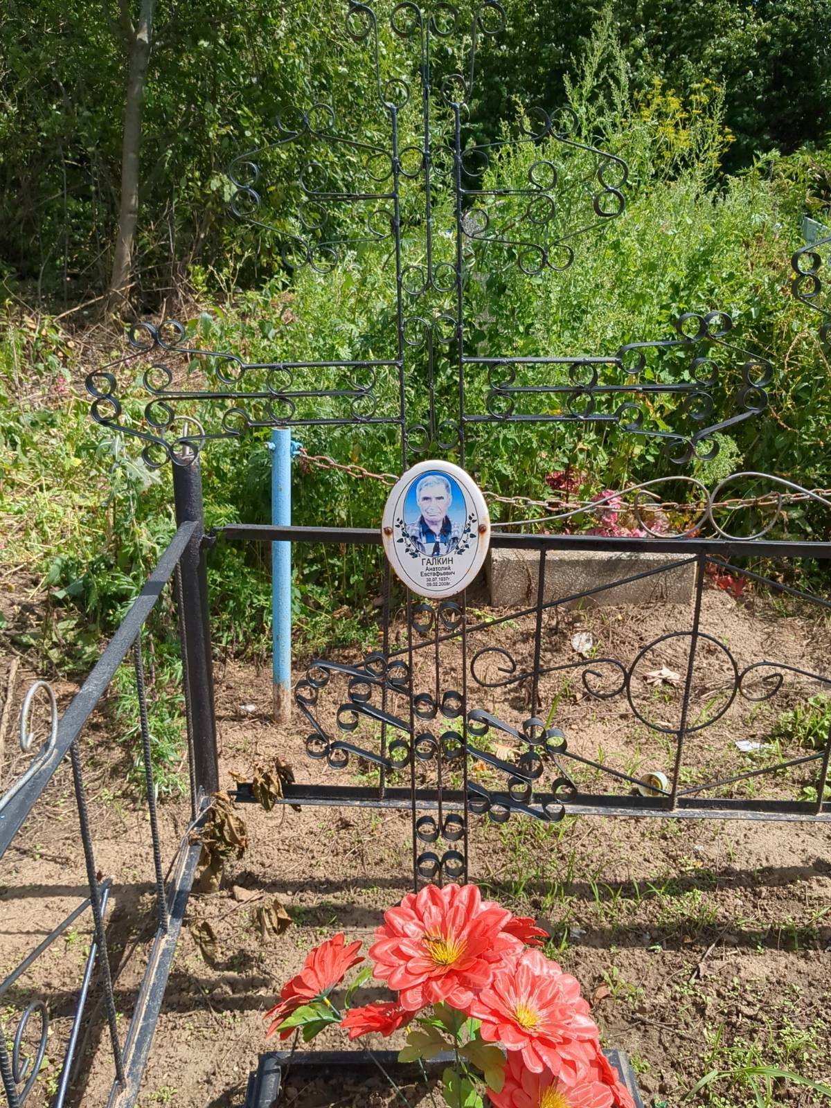Галкина Александра Ивановна
