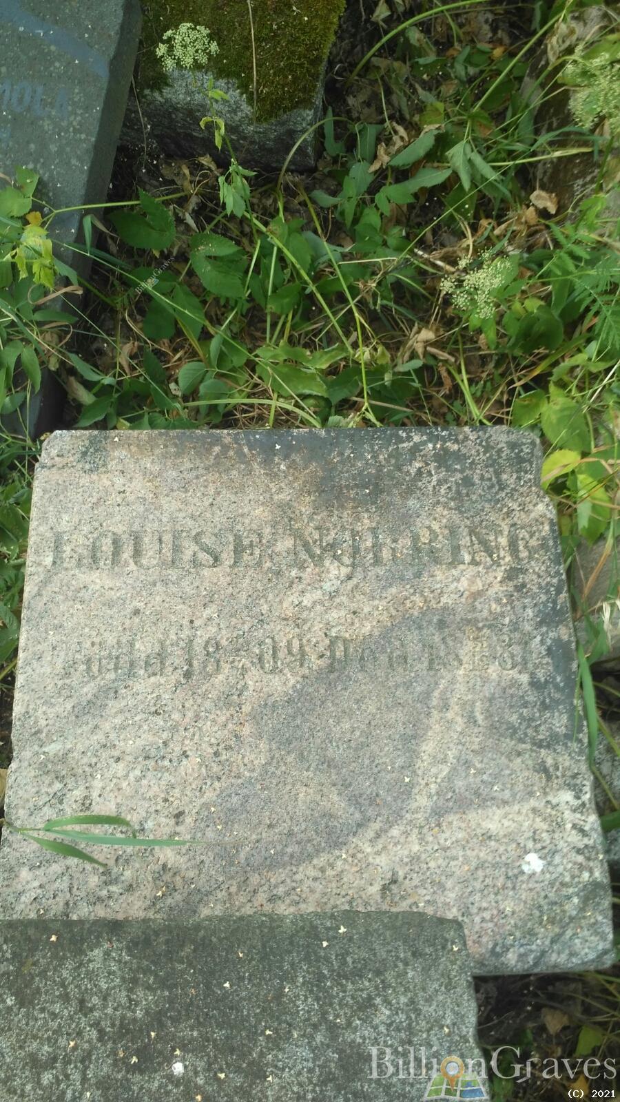 Norring Louise