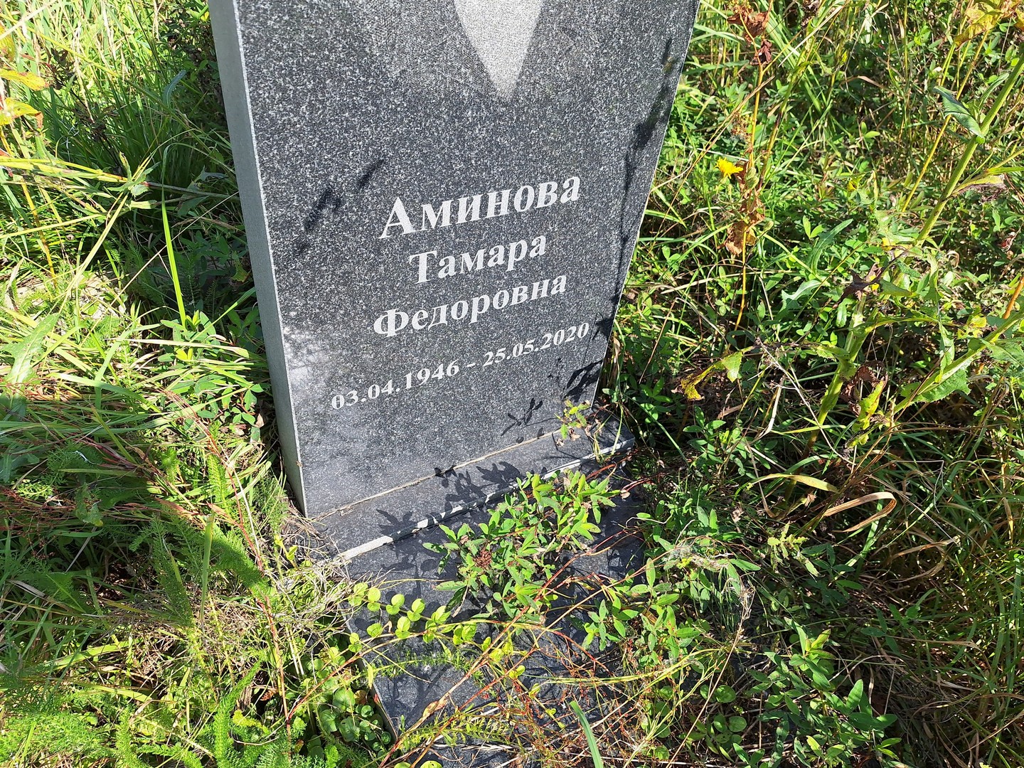 Аминова