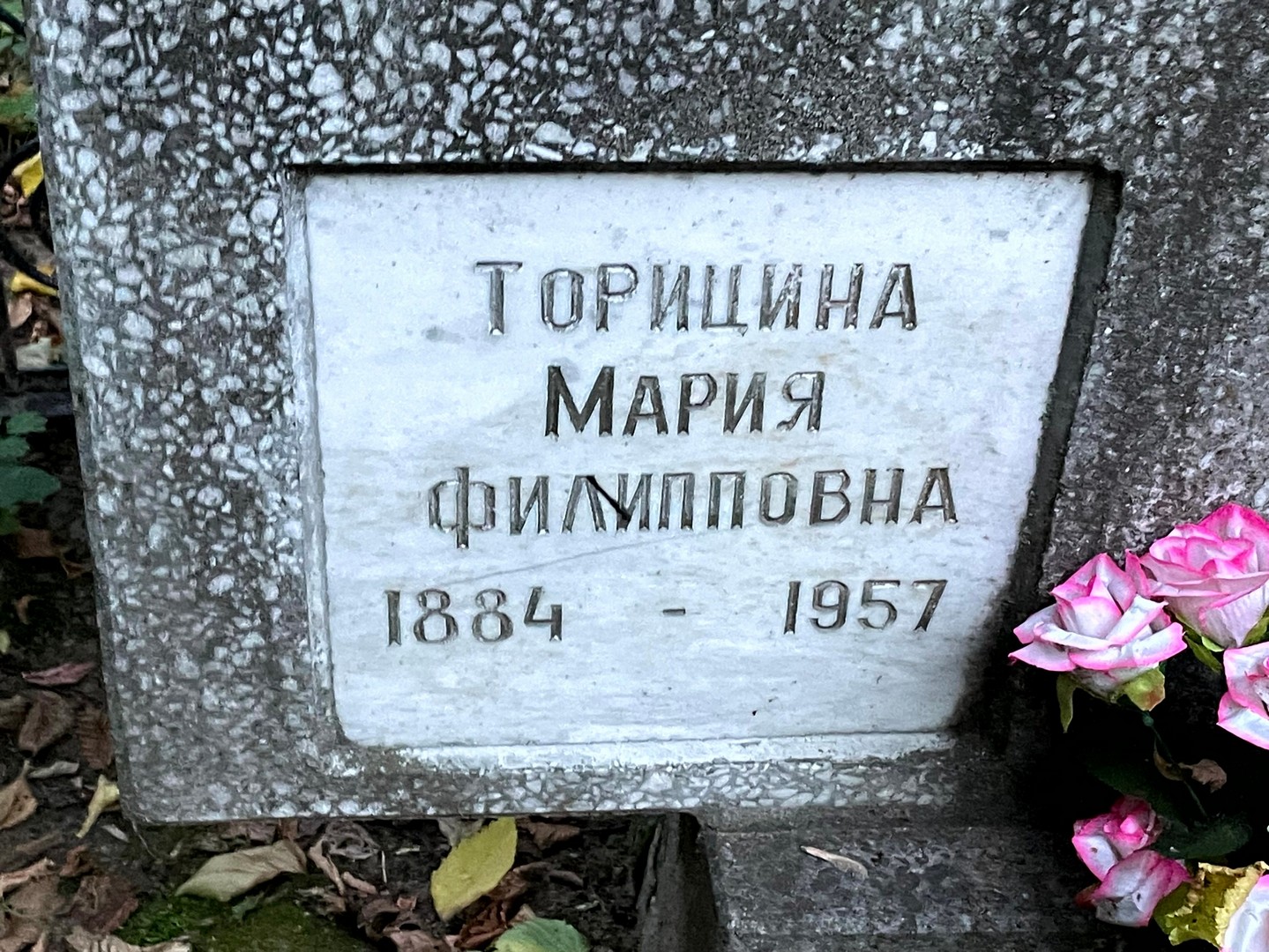 Торицина