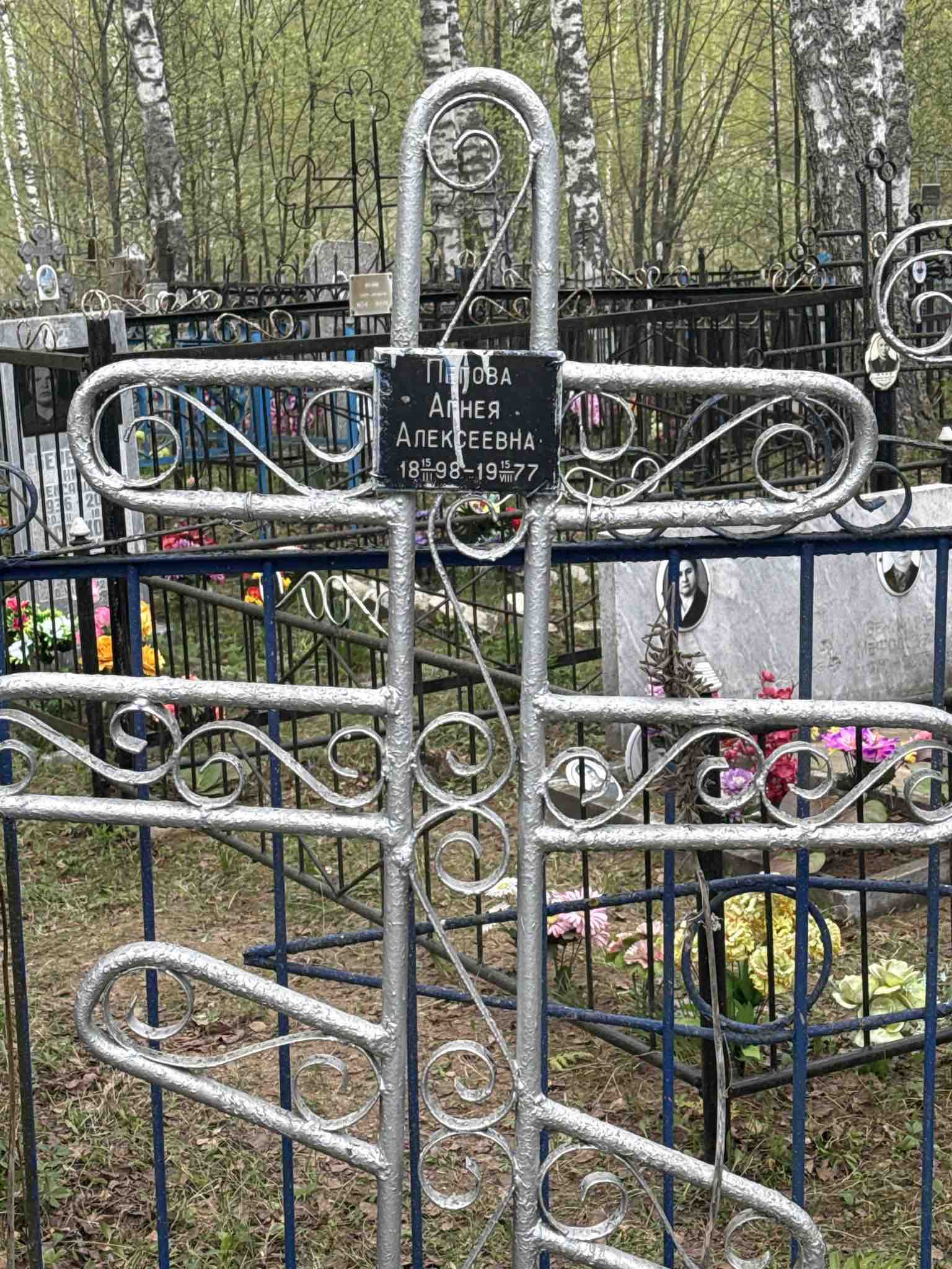 Пегова Агнея Алексеевна